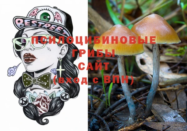 прущие крисы Алексин