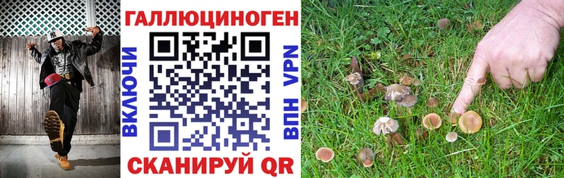 кракен ONION  Обоянь  Псилоцибиновые грибы мицелий  цена  