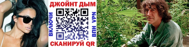 Бошки Шишки Amnesia  Обоянь 